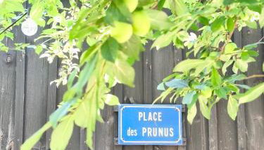 Eco-lodges Lacanau Moutchic Inn - 4 pers - Foto 5
