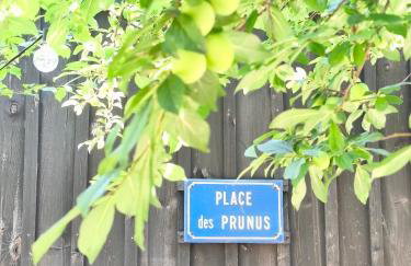 Eco-lodges Lacanau Moutchic Inn - 4 pers - Foto 5