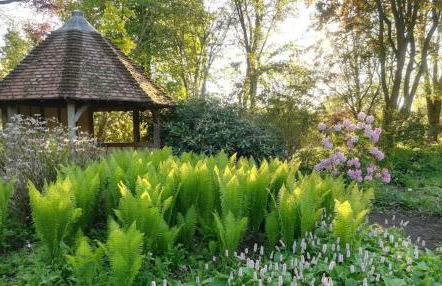 Bressingham Hall - Foto 30