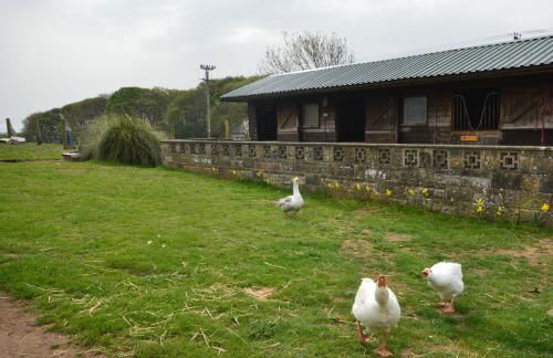 Queen Bower Farm Lodge - Foto 76