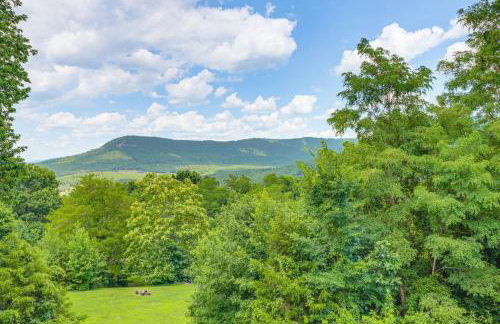 Views on 12 Acres Ozark Mountain Cabin! - Foto 42