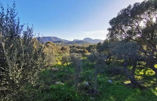 Casa Mariposa Porto Rotondo - Photo 41