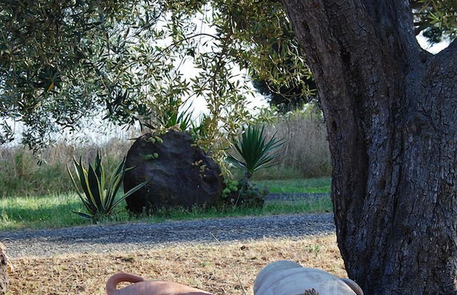 Tenuta Di Pontesodo - Foto 47