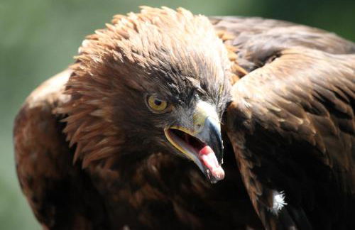 Ferienhaus Kranich - Foto 14