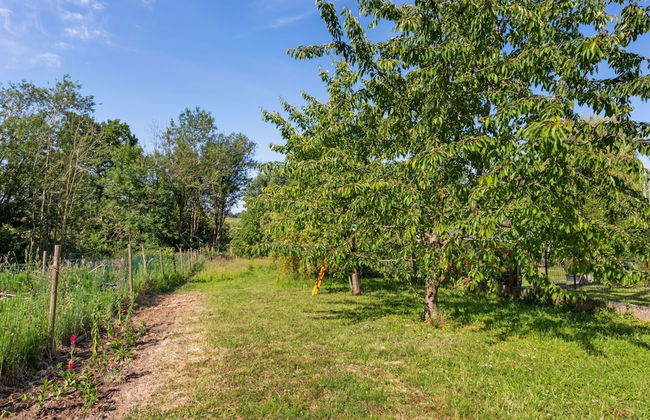 Villa in Kobbegem With Private Garden - Foto 29