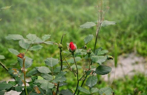 Appartamenti Tortorella - Foto 63