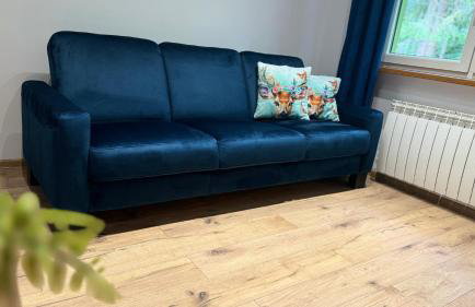 LEŚNE ZACISZE Wisła - Jacuzzi, Bacówka, Niesamowite Widoki - Foto 54