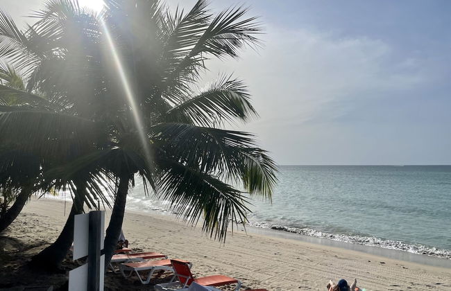 Villa Jobos in Isabela - Foto 30