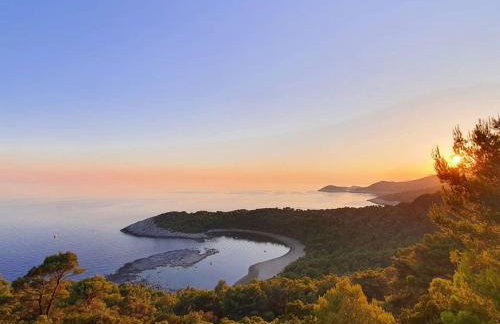 Apartments Franić - Photo 15