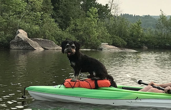 Staying by the Lakeside Cottages - Foto 60