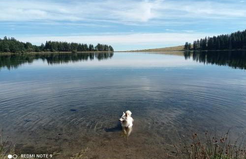 Chalet des fontaines claires - Foto 23