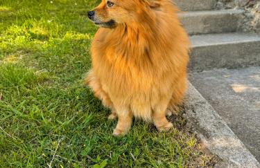 Casa Vacanze La CASA DEL SOLE - Foto 57