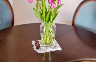 Bright & Cozy 2BR | Near Downtown, MSU & Hospitals - Foto 23
