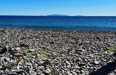 Morena house - Foto 16