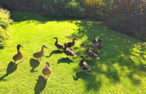 Sunny, Single-level Cottage with Garden & Parking, Dog friendly, Near Rye - Photo 12