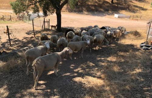 Casa do Forno Évora retreat - Foto 48