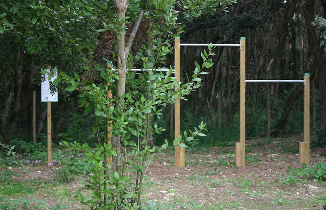 Tenuta Vigna Corallo - Foto 45