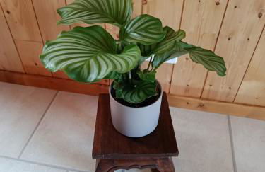 Chalet Rivage Home - Foto 32