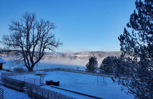Lac Saint-Point au balcon - Foto 3