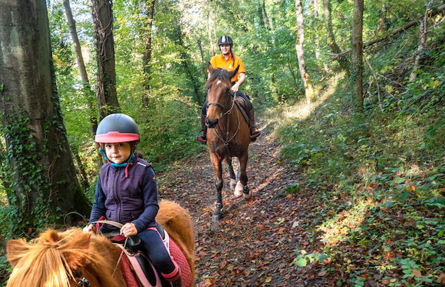 VVF Normandie Forges-les-Eaux - Foto 54