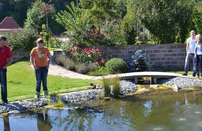 Vakantiewoning in Zwarte Woud - Foto 15