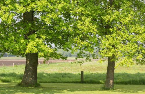 Ferienhaus Waldblick, 35209 - Foto 10