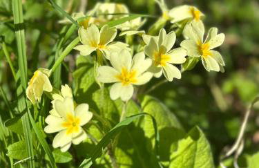 The Granary - Wood Farm Barn. Luxury Barn with wonderful countryside views - Photo 48
