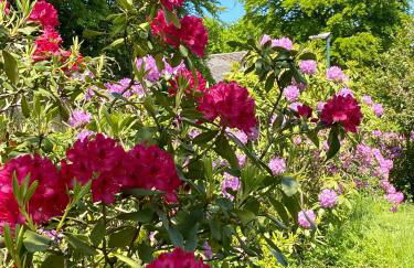 Uns Landhus Tating - Photo 28