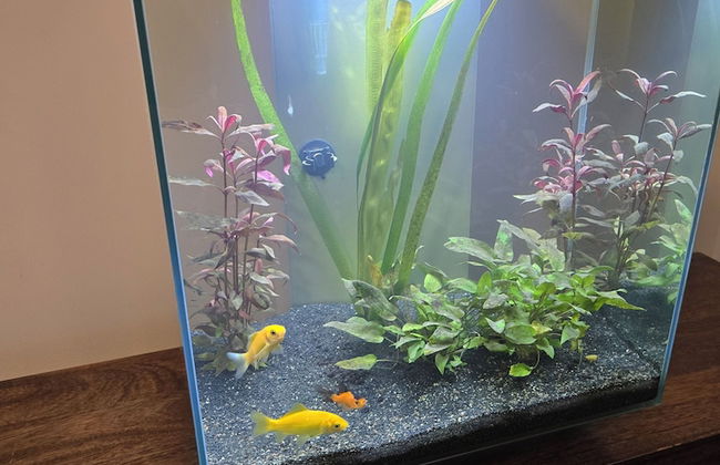 Free Private Transport From Any Dublin Port - Photo 15