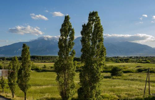 Niriides Studios and Apartments - Foto 3