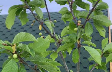 Orchard Hideaway, Bielby, York - Photo 37