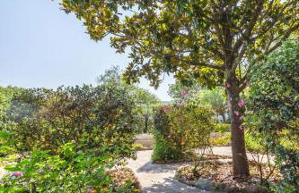 Midori-an 緑庵 - The Garden - Foto 41