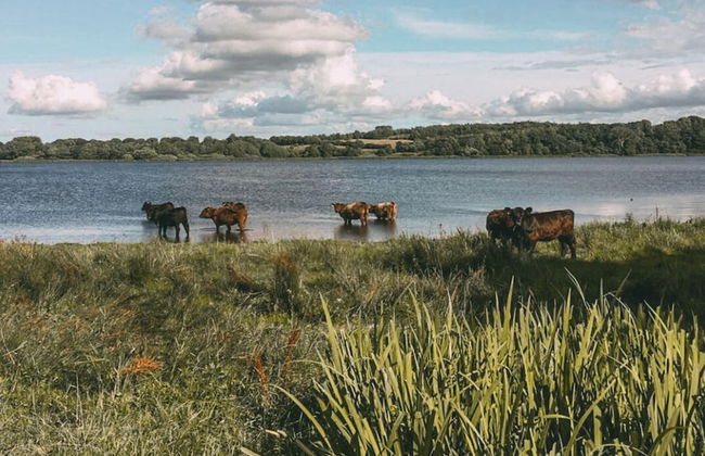 Spacious Apartment With Balcony - Foto 21