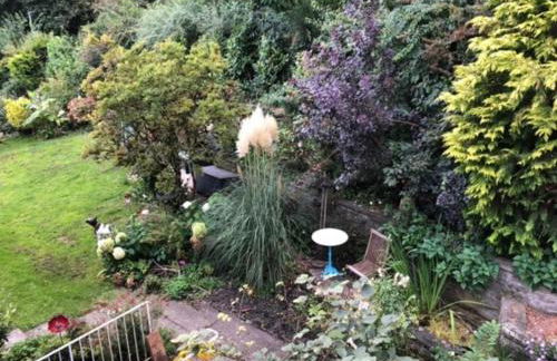 Brühl, FeWo am Heider Bergsee - 3 Sterne DTV - Foto 12