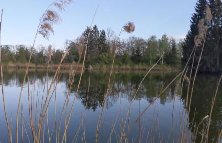 Klosterberghaus - Kontaktloser Check-in - Foto 33
