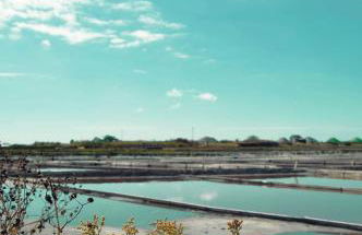 Moradia entre o Mar e a Ria - Foto 51