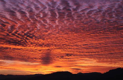 Country House Il Biroccio - Foto 42