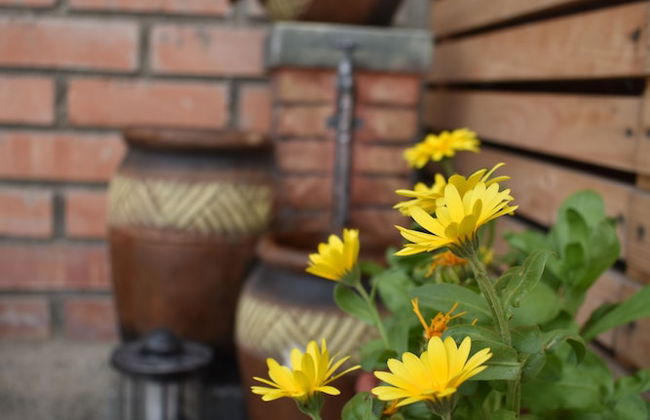 Cumbres Apart - Photo 49