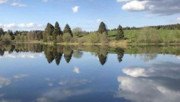 Ferienwohnung am Sumpfteich - Foto 2