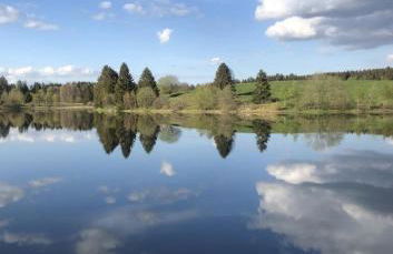 Ferienwohnung am Sumpfteich - Foto 2