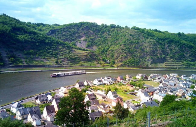 Vakantiehuis Mosella - Foto 32