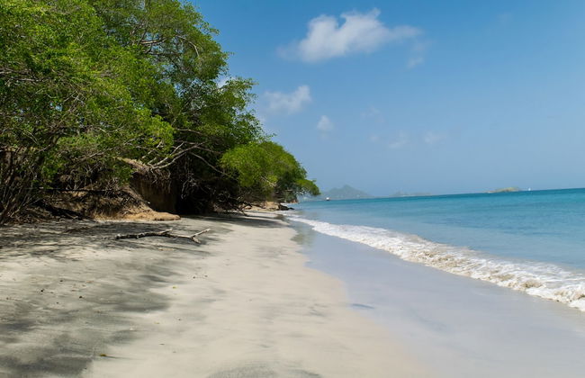 Bogles Round House - Foto 19