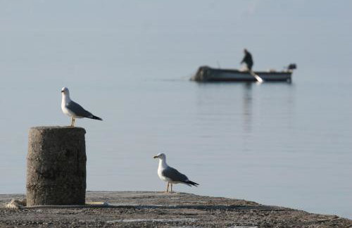 Villa Arca Adriatica - Foto 44