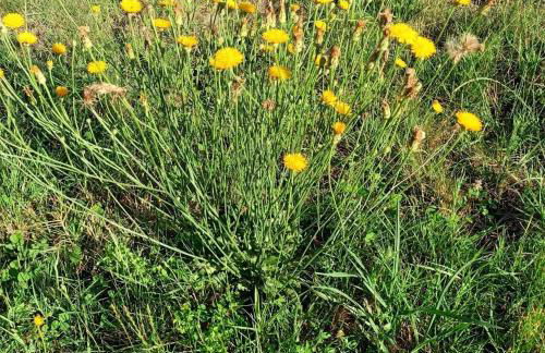Gîte des Graves de Lilou - Foto 41