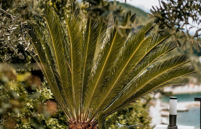 Villa AMore Brela - Foto 71