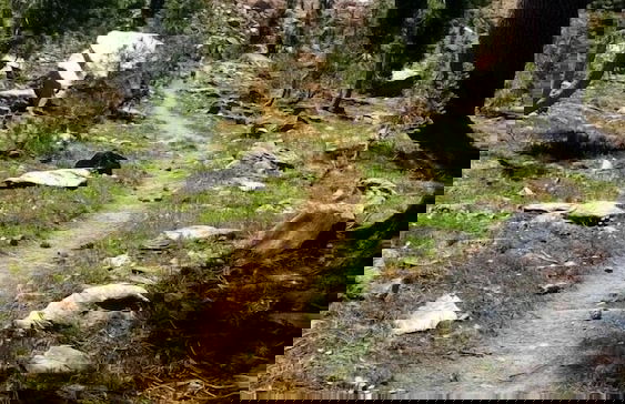 Strawhouse Resorts - Photo 53