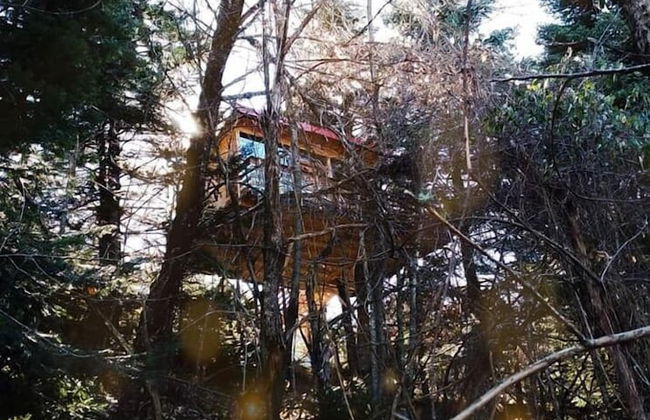 Kedra Village - Foto 4