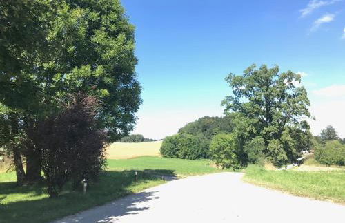Ferienwohnung mit Alpenblick - Foto 27