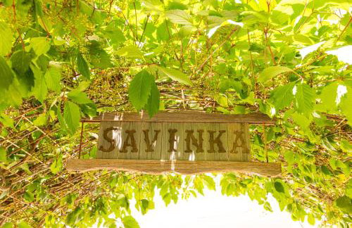 SAVINKA - Photo 32