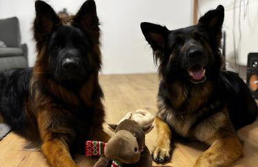 Fleischmannhof Do san ma dahoam - Photo 40